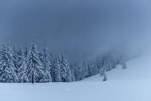 paysage d'hiver majestueux, forêt de pins avec des arbres couverts de neige. une scène dramatique avec des nuages noirs bas, un calme avant la tempête