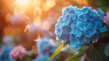 ai généré magnifique brillant Contexte de une été jardin avec une floraison bleu hortensia buisson photo