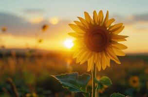 ai généré une Jaune tournesol est dans silhouette avec une Soleil en hausse derrière il photo