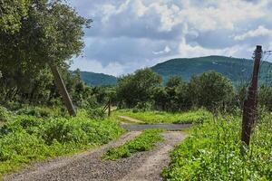 paisible vert collines avec une chemin et une nuageux bleu ciel paysage avec coloré fleurs photo