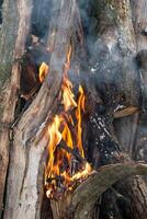 magnifique Feu flammes sur une feu de camp photo