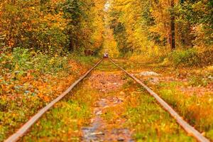 l'automne forêt par lequel un vieux tram monte Ukraine photo