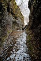 une étroit canyon dans le montagnes de l'eau les flux à le bas de le ravin, Montagne ruisseau a sculpté ses façon par le rock. photo