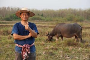 asiatique homme agriculteur porte chapeau, bleu chemise, les pouces en haut, prise se soucier de buffle à animal cultiver. concept, bétail, thaïlandais Les agriculteurs élever et prendre se soucier buffles comme économique et exportation animaux. photo