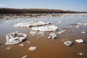printemps inonder sur le rivière, sale l'eau dans le rivière belaya ufa Bachkortostan Russie. morceaux de la glace flotte sur le l'eau. photo