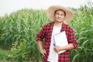 asiatique homme agriculteur est à jardin, porte chapeau, rouge plaid chemise, mettre main sur hanche et tenir papier presse-papiers. concept. agriculture profession, inspecter, enquêter et recherche. photo