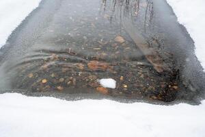 polynie sur le rivière. clair et décongelé l'eau dans le rivière. le l'eau est donc clair cette vous pouvez voir le bas. hiver des promenades par le berge de rivière photo