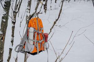 une sac à dos bloque de une arbre dans une hiver forêt. une sac à dos oublié par quelqu'un. une thermos des bâtons en dehors de le sien poche. équipement pour une hiver randonnée. photo