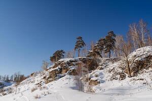 rochers sur lequel Noël des arbres grandir, le paysage de le Montagne dans hiver contre le Contexte de le bleu ciel. le Terre est couvert avec neige, le du froid saison, printemps, dégel. photo