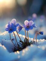 ai généré premier fleurs dans printemps grandir dans le neige photo