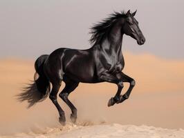 ai généré noir cheval court sur le sable dans le désert photo
