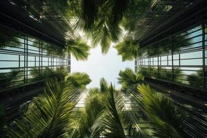 ai généré tropical paume feuilles de face gratte-ciel lumières. produire ai photo