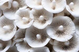 ai généré Frais blanc macro champignons aliments. produire ai photo