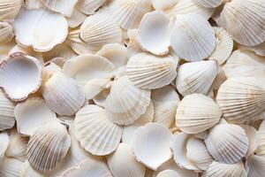 ai généré parfait blanc fruits de mer modèle. produire ai photo