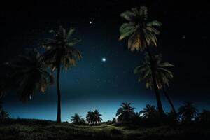 ai généré tropical paume arbre nuit sombre. produire ai photo