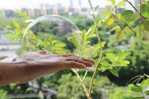 eau savonneuse sur palmier. bulle dans main. photo