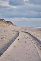 pneu des pistes sur plage dans Danemark photo
