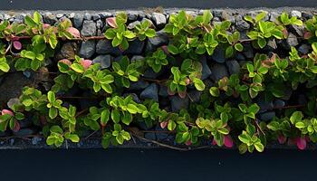 ai généré Frais vert feuilles sur pierre mur, la nature beauté dans architecture généré par ai photo