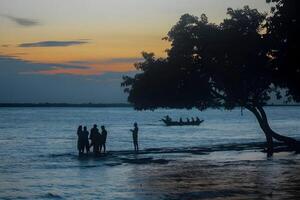 gens permanent sur le rive de le l'eau à le coucher du soleil photo