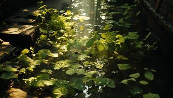 ai généré tranquille scène vert feuilles, lumière du soleil, humide herbe, paisible étang, la nature généré par ai photo