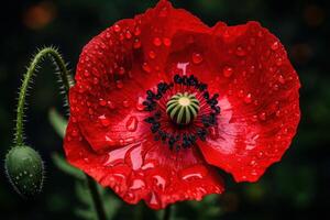 ai généré vibrant rouge coquelicot fleur. produire ai photo