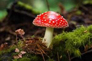 ai généré toxique rouge champignon vénéneux champignon danger. produire ai photo