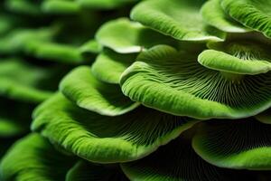 ai généré vert modèle champignons. produire ai photo