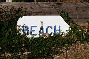 en bois signe montrer du doigt à plage bleu des lettres blanc Contexte photo