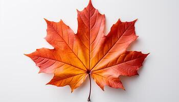 ai généré vibrant l'automne couleurs décorer la nature toile de fond, symbolisant beauté et la créativité généré par ai photo