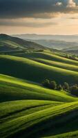 ai généré roulant collines verdoyant vert des champs élongation à le horizon photo