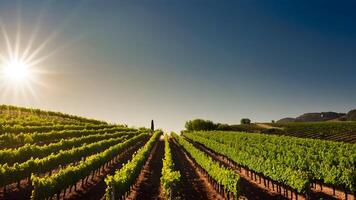 ai généré vibrant vignobles Lignes de vignes se prélasser dans lumière du soleil photo