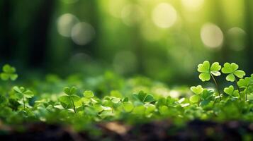 ai généré chanceux trèfle feuilles pour st. patrick's journée. bannière avec irlandais trèfle feuilles photo