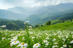 ai généré le serein beauté de vert collines dans hauts plateaux décoré avec blanc marguerites photo