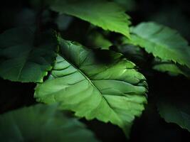 ai généré vert feuilles de une arbre photo