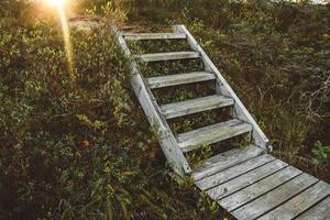 un escalier en bois dans une forêt enchantée. pont forestier en bois au soleil photo