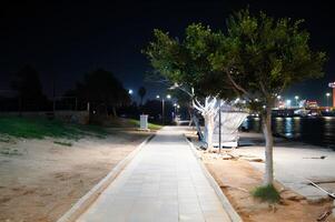 une parc à nuit avec une chemin et une arbre photo
