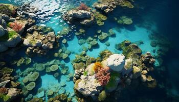 ai généré sous-marin la nature poisson, corail, scaphandre autonome plongée, tropical climat, Profond généré par ai photo