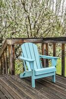 vide adirondack chaise sur une en bois arrière-cour pont, printemps paysage avec une épanouissement Pomme arbre photo