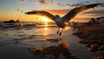 ai généré mouette en volant plus de tranquille mer, le coucher du soleil des peintures la nature beauté généré par ai photo