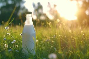 ai généré une bouteille de Frais Lait sur une ensoleillé été ferme prairie, herbe, la nature et les plantes. maquette, éco nourriture, laitier des produits concept idées. génératif ai photo