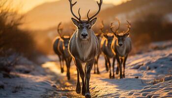 ai généré cerf permanent dans neige, hiver paysage, tranquille scène, la nature beauté généré par ai photo