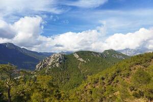 scénique vue de le Montagne couvert avec vert des arbres et les plantes avec bleu ciels dans le Contexte photo