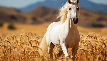 ai généré Jeune cheval fonctionnement dans une magnifique Prairie à le coucher du soleil généré par ai photo