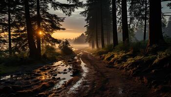 ai généré tranquille coucher de soleil, la nature beauté dans l'automne, forêt mystère se déroule généré par ai photo