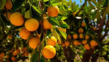 ai généré fraîcheur et croissance dans la nature vibrant agrumes fruit généré par ai photo