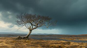 ai généré résilient arbre des stands fort au milieu de orage symbolisant endurance et force photo