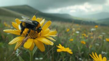 ai généré vibrant fleurs sauvages Prairie abeille pollinisation dans doux Naturel lumière expansif paysage dans Contexte photo