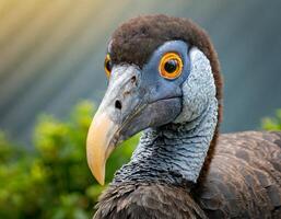 ai généré une fermer de une dodo oiseau photo