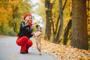 une élégant Jeune fille avec longue lumière cheveux dans ensoleillé des lunettes va pour une marcher avec une peu milieu chienchien une carlin par le français bouledogue dans une parc dans printemps dans l'automne photo