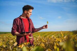 agriculteur dans soja champ plantation photo